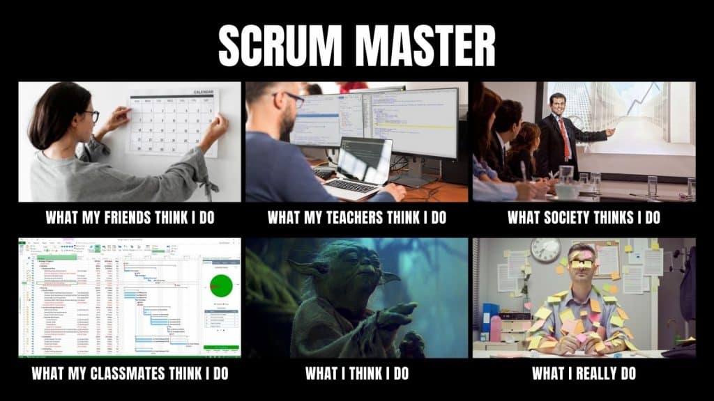 scrum master daily