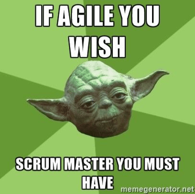 scrum master mem